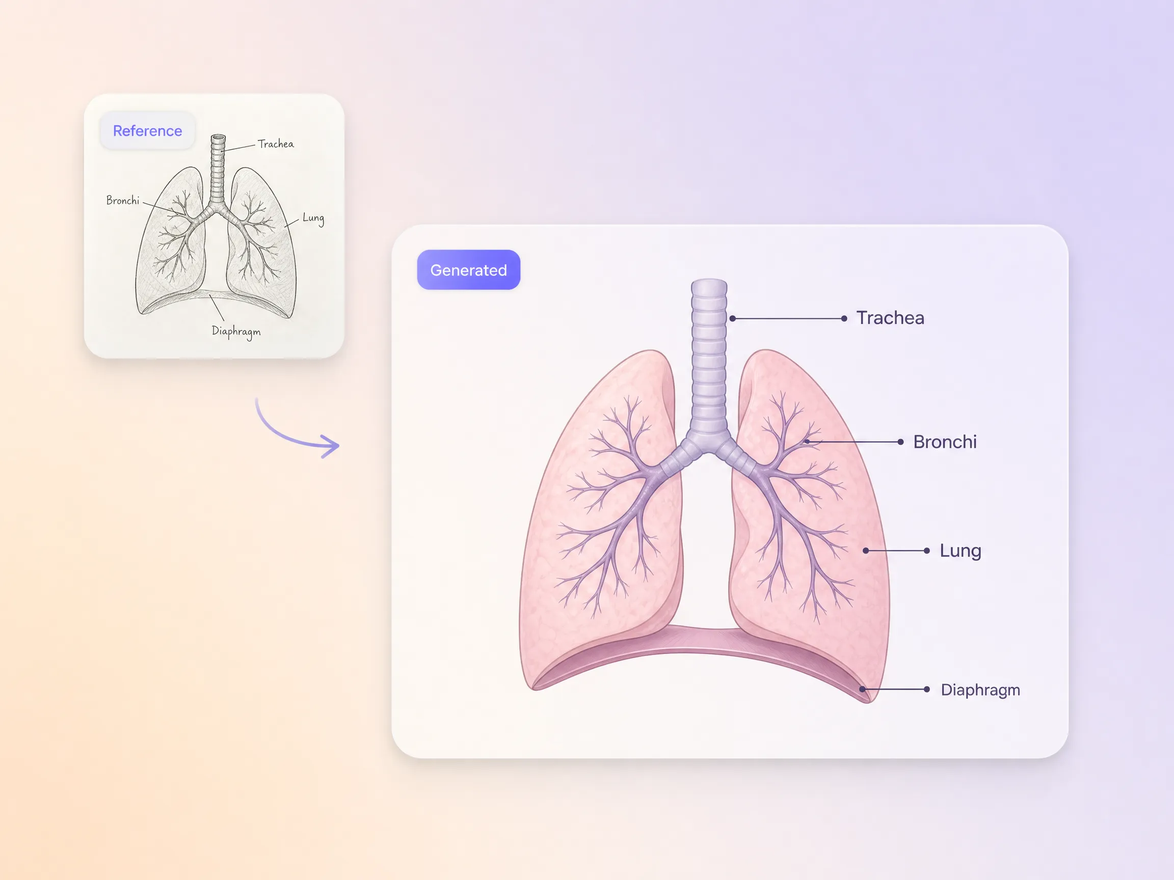 Reference-based healthcare explainer creation by Pexo